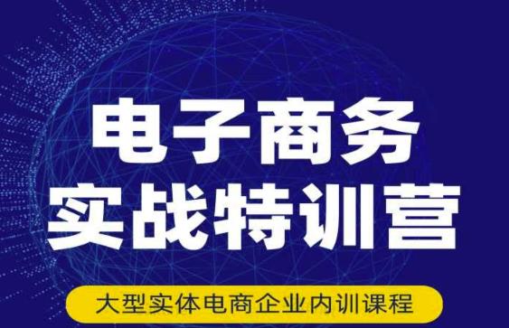 民赛电气内部出品：电子商务实战特训营，全方位带你入门电商，308种方式玩转电商-摸金项目网