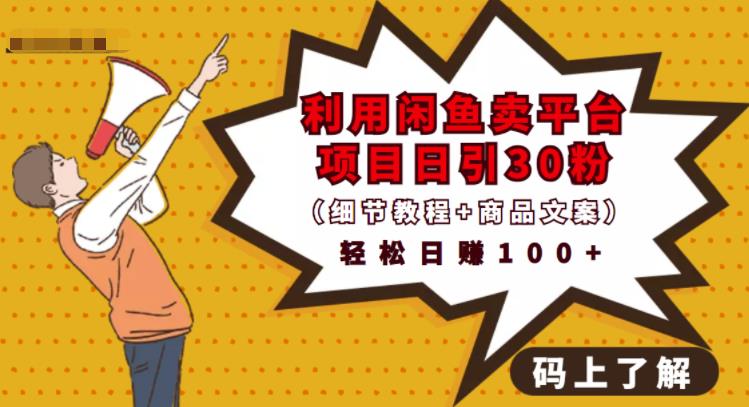 利用闲鱼卖平台项目课程资源日引流30+精准粉丝，轻松日赚100+，积累人脉可实现二次变-摸金项目网