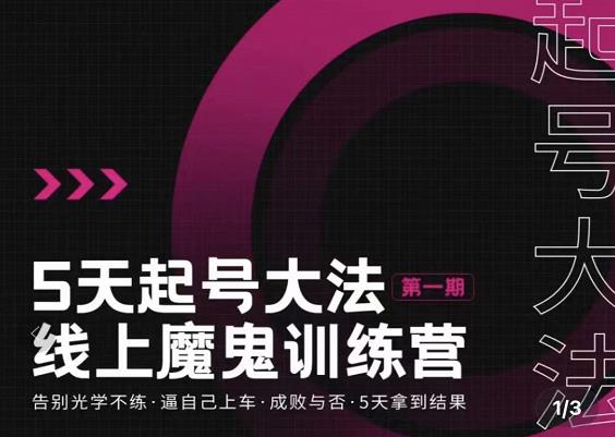 大播·五天起号魔鬼训练营，告别光学不练，逼自己上车，成败与否，5天拿到结果-摸金项目网