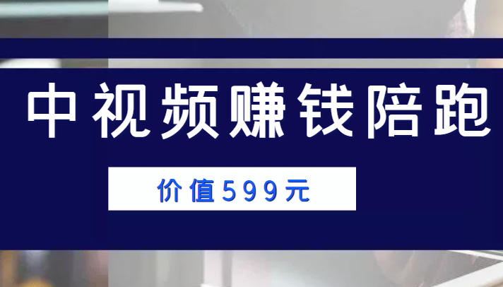 中视频赚钱陪跑，卖中视频账户赚钱收益陪跑项目（价值599元）-摸金项目网