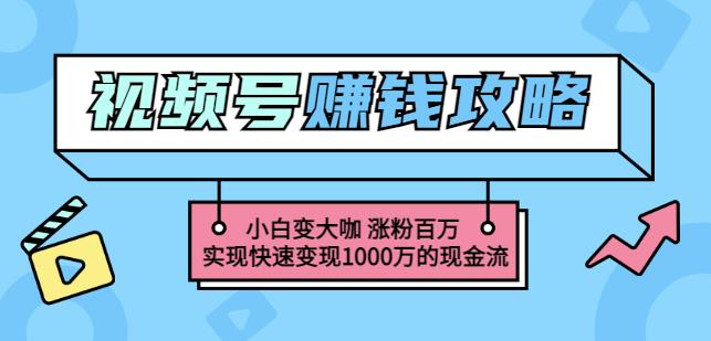 玩转微信视频号赚钱：小白变大咖涨粉百万实现快速变现1000万的现金流-摸金项目网
