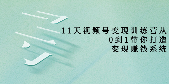 11天视频号变现训练营，从0到1打造变现赚钱系统（价值398元）-摸金项目网