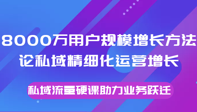 8000万用户规模增长方法论私域精细化运营增长，私域流量硬课助力业务跃迁-摸金项目网