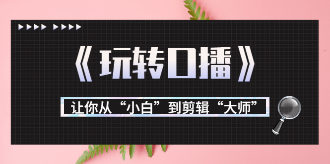 月营业额700万+大佬教您《玩转口播》让你从“小白”到剪辑“大师”-摸金项目网
