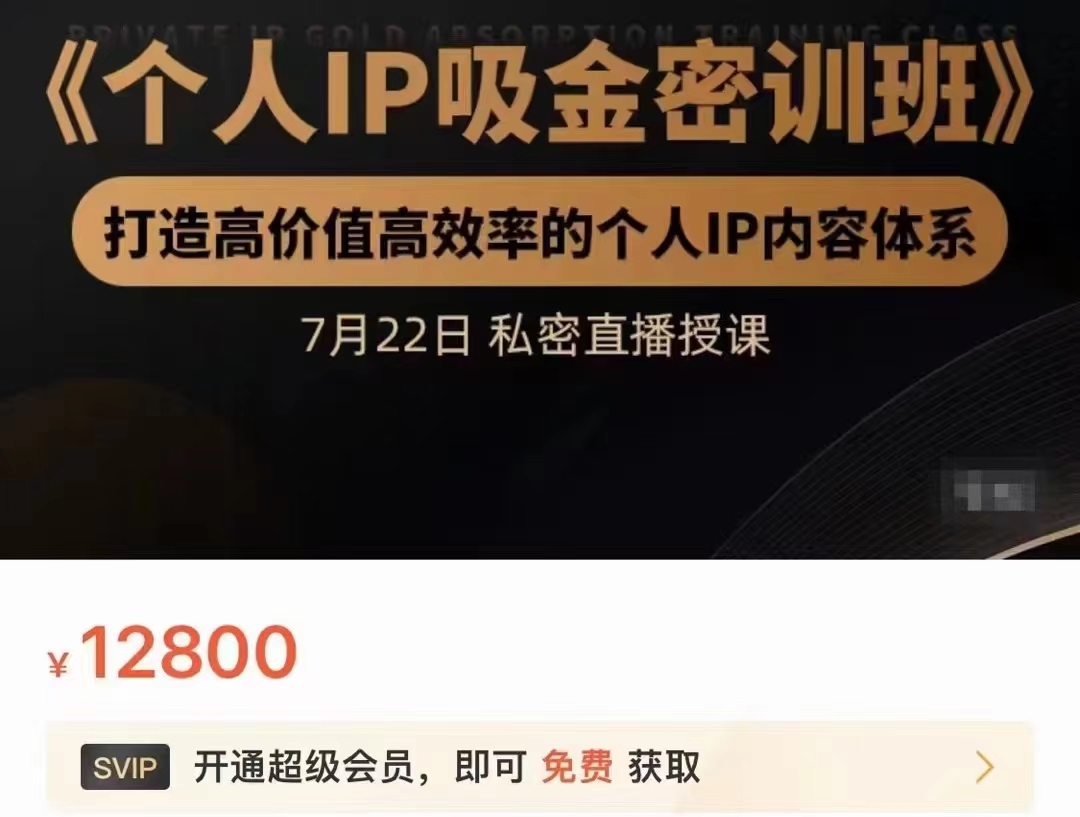 个人IP吸金密训班，打造高价值高效率的个人IP内容体系（价值12800元）-摸金项目网