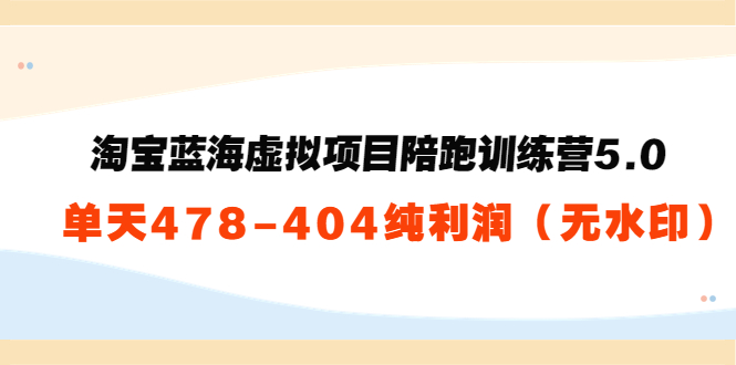 淘宝蓝海虚拟项目陪跑训练营5.0：单天478纯利润-摸金项目网