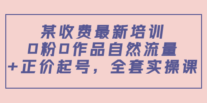 某最新收费培训内容：0粉0作品自然流量+正价起号，全套实操课-摸金项目网