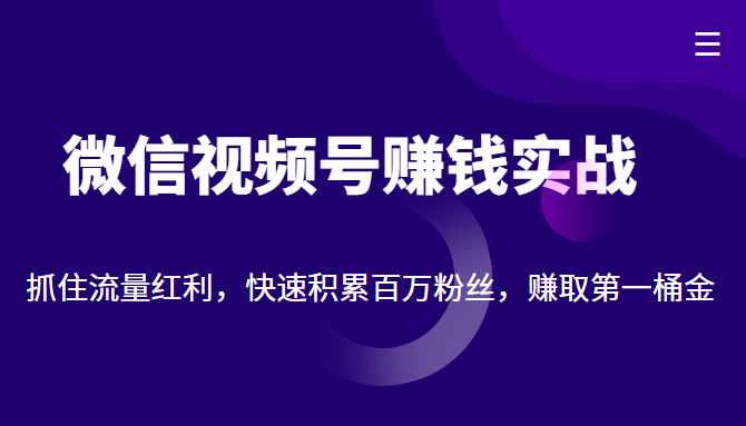 微信视频号赚钱实战：抓住流量红利，快速积累百万粉丝，赚取你的第一桶金-摸金项目网
