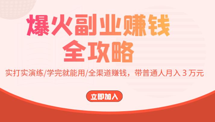 爆火副业赚钱全攻略：实打实演练/学完就能用/全渠道赚钱，带普通人月入３万元-摸金项目网