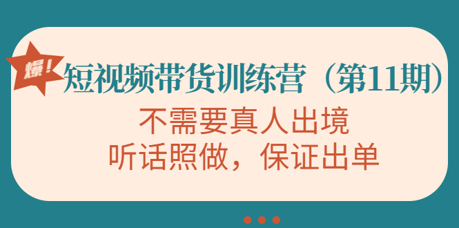 视频带货训练营，不需要真人出境，听话照做，保证出单（第11期）-摸金项目网