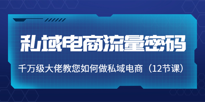私域电商流量密码：千万级大佬教您如何做私域电商（12节课）-摸金项目网