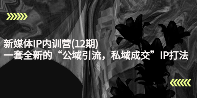 新媒体IP内训营(12期)，一套全新的“公域引流，私域成交”IP打法，直接带走-摸金项目网