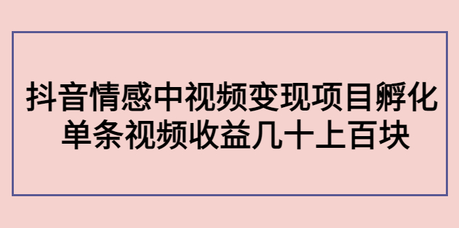 副业孵化营第5期：抖音情感中视频变现项目孵化 单条视频收益几十上百-摸金项目网