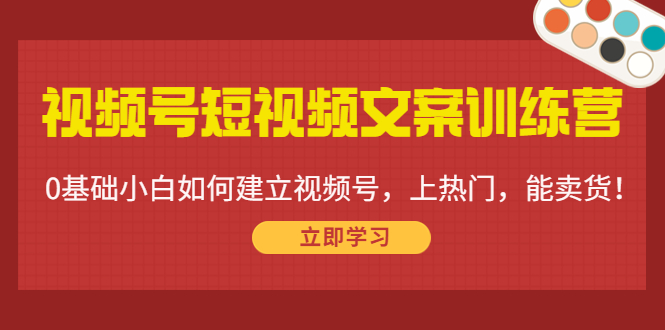 视频号短视频文案训练营：0基础小白如何建立视频号，上热门，能卖货！-摸金项目网
