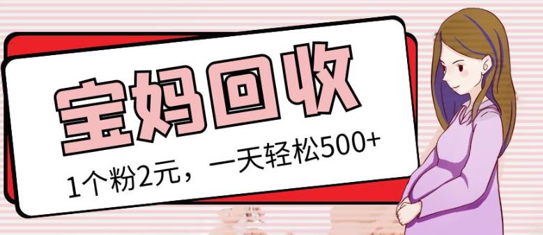 最新小红书母婴号宝妈粉回收项目，1个粉2元，一天轻松500+案例分享【粉丝包回收】-摸金项目网