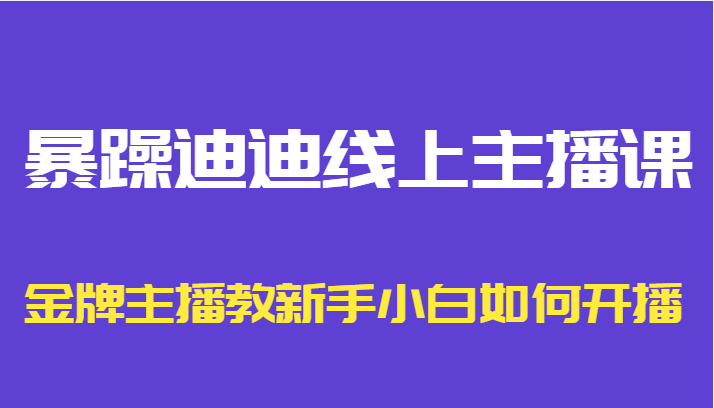 暴躁迪迪线上主播课，金牌主播教新手小白如何开播-摸金项目网