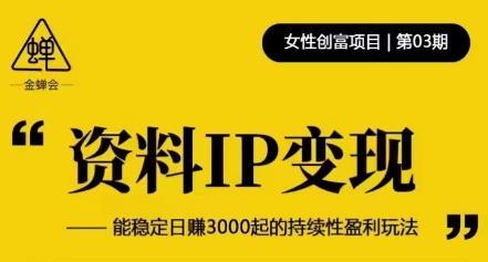 资料IP变现，能稳定日赚3000起的持续性盈利玩法-摸金项目网