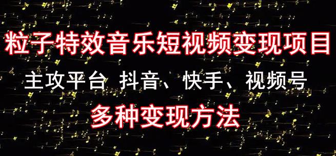 黄岛主《粒子特效音乐短视频变现项目》主攻平台抖音、快手、视频号多种变现方法-摸金项目网