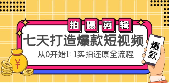 七天打造爆款短视频：拍摄+剪辑实操，从0开始1:1实拍还原实操全流程-摸金项目网