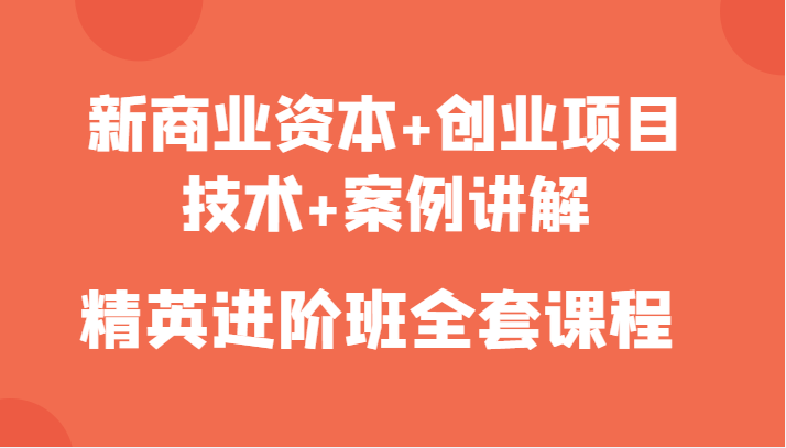 新商业资本+创业项目，技术+案例讲解，精英进阶班全套课程-摸金项目网