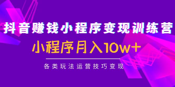 抖音赚钱小程序变现训练营：小程序月入10w+各类玩法运营技巧变现-摸金项目网