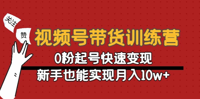 视频号带货训练营：0粉起号快速变现，新手也能实现月入10w+-摸金项目网