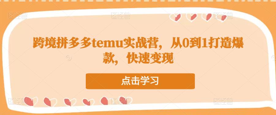 跨境拼多多temu实战营，从0到1打造爆款，快速变现-摸金项目网