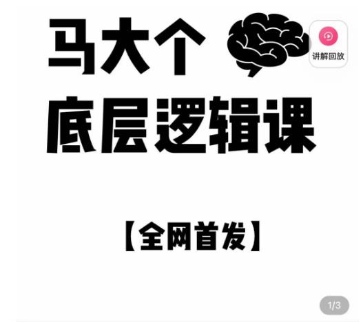 马大个·底层逻辑课，51节底层逻辑智慧课-价值1980元-摸金项目网