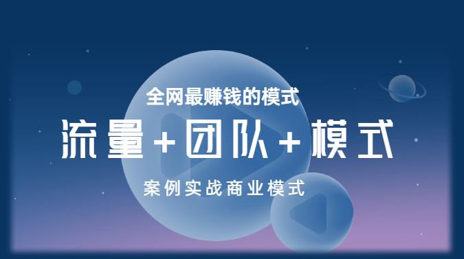 王冲老师《流量+团队+模式》商业模式实战课，全网最赚钱的模式-摸金项目网