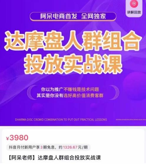 阿呆电商·达摩盘人群组合投放实战课，你以为推广不赚钱是技术问题，其实是你没有选好高价值消费客群-摸金项目网