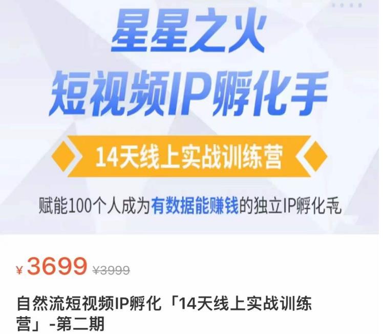 瑶瑶·自然流短视频IP孵化第二期，14天线上实战训练营，赋能100个人成为有数据能赚钱的独立IP孵化手-摸金项目网