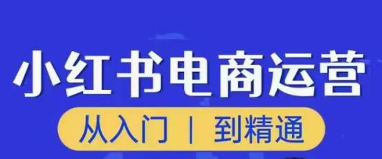 顽石小红书电商高阶运营课程，从入门到精通，玩法流程持续更新-摸金项目网