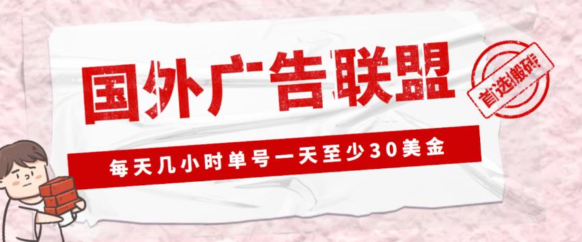外面收费1980的最新国外LEAD广告联盟搬砖项目，单号一天至少30美金【详细玩法教程】-摸金项目网