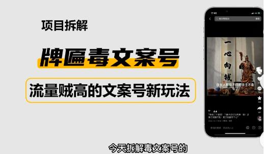 2023抖音快手毒文案新玩法，牌匾文案号，起号快易变现-摸金项目网