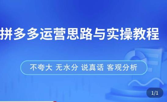 拼多多店铺运营思路与实操教程，快速学会拼多多开店和运营，少踩坑，多盈利-摸金项目网