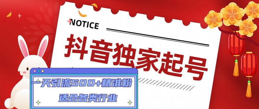 抖音独家起号，一天引流500+精准粉，适合各类行业（9节视频课）-摸金项目网