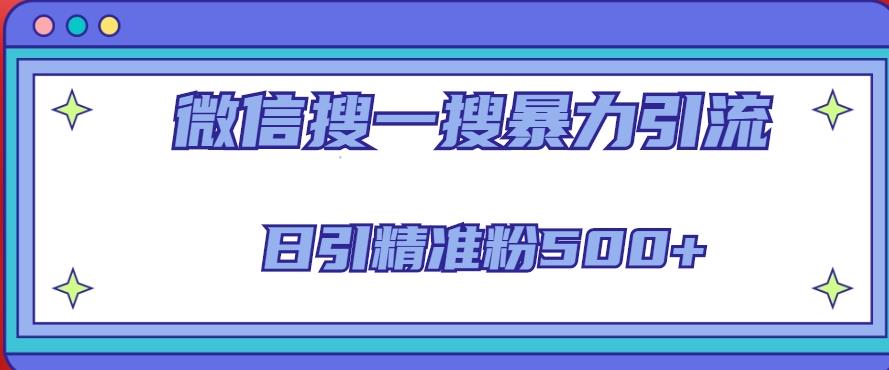 微信搜一搜引流全系列课程，日引精准粉500+（8节课）-摸金项目网