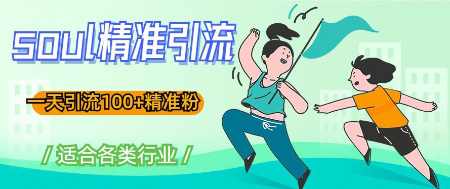 soul精准引流系列课程，一天引流100+精准粉，适合各类行业-摸金项目网