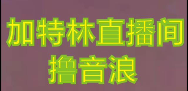 抖音加特林直播间搭建技术，抖音0粉开播，暴力撸音浪，2023新口子，每天800+【素材+详细教程】-摸金项目网