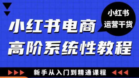 小红书电商高阶系统教程，新手从入门到精通系统课-摸金项目网