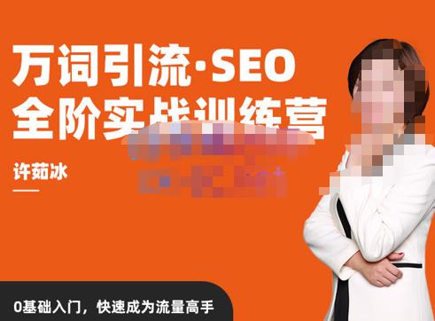 许茹冰·万词引流-SEO全阶实战训练营，0基础入门，快速成为流量高手-摸金项目网