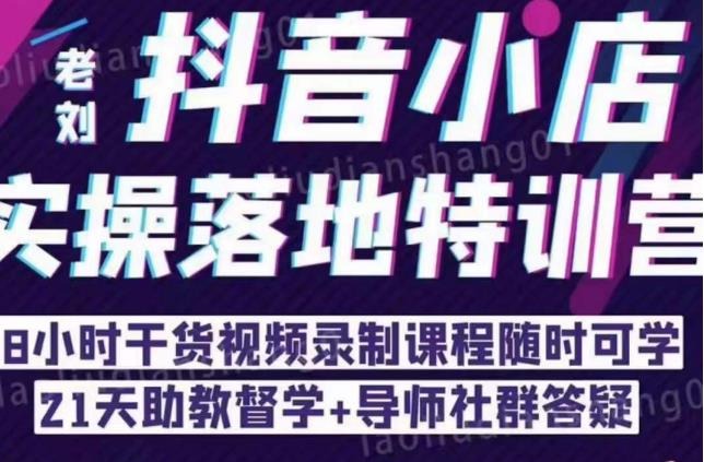 抖音小店实操落地特训营：抖音小店无货源精细化运营，抖店商品卡流量（22节）-摸金项目网