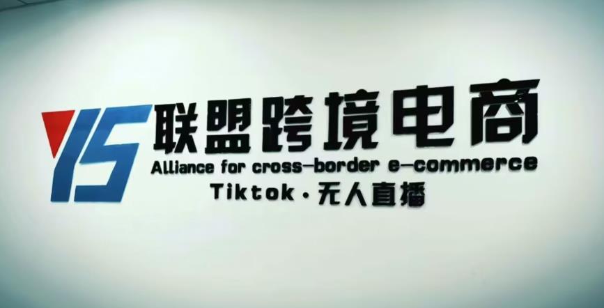 YS联盟·Tiktok无人直播，不出镜不剪辑不拍摄不发货无售后的跨境短视频躺赚玩法-摸金项目网
