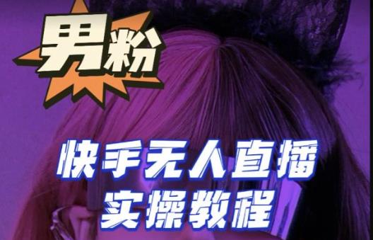 【男粉落地项目】零基础玩转男粉快手无人直播月入3w+，2023快手无人直播实操教程-摸金项目网