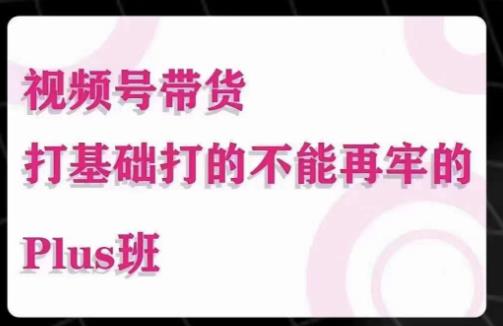大播汇·视频号带货Puls班，视频号底层逻辑，起号自然流鱼塘等玩法-摸金项目网