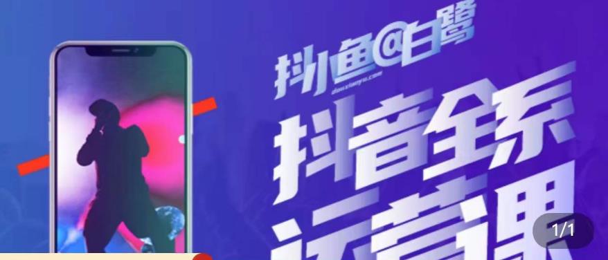 白鹭·主播内训营，运营主播话术起号进阶能力提升-摸金项目网