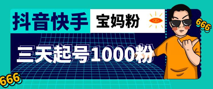 抖音快手三天起号涨粉1000宝妈粉丝的核心方法【详细玩法教程】-摸金项目网