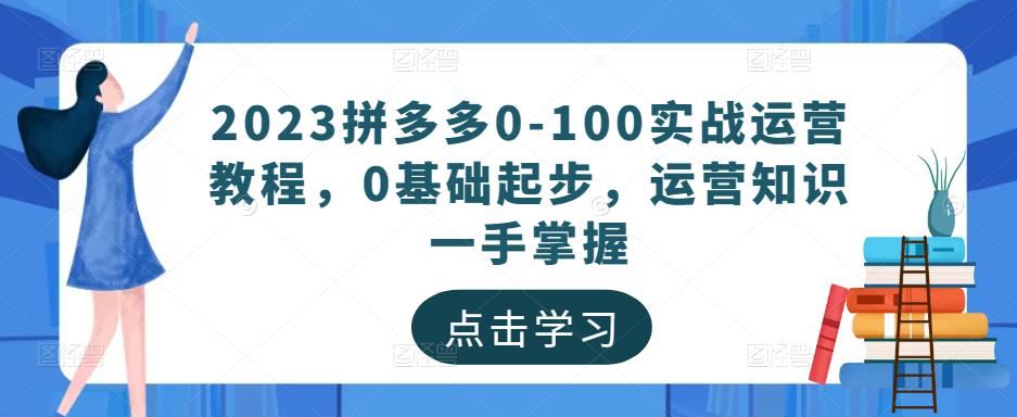 2023拼多多0-100实战运营教程，0基础起步，运营知识一手掌握-摸金项目网
