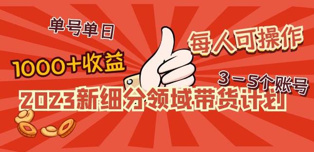 2023新细分领域带货计划：单号单日1000+收益不难，每人可操作3-5个账号-摸金项目网