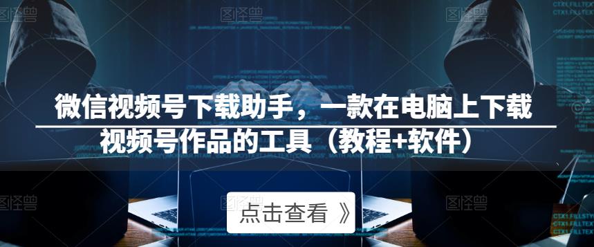 微信视频号下载助手，一款在电脑上下载视频号作品的工具（教程+软件）-摸金项目网